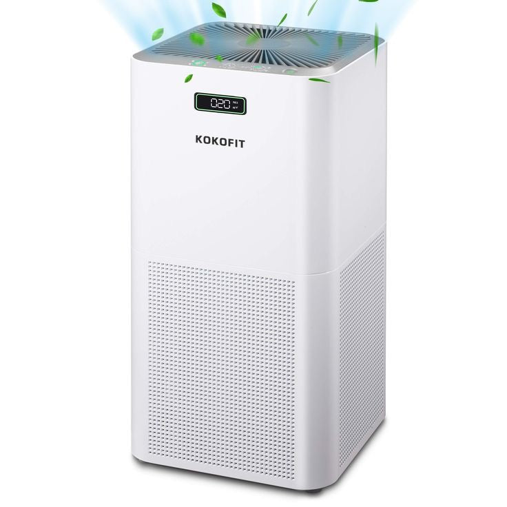 Air Purifier Negative Ion Pet Odor Removal